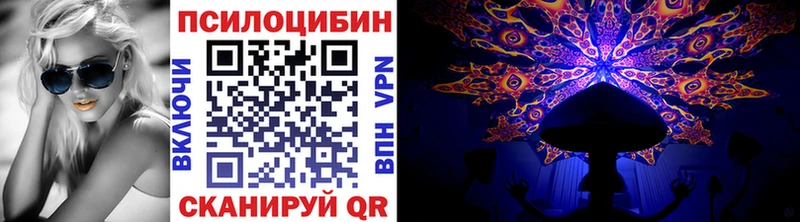 Псилоцибиновые грибы Cubensis  Усинск 